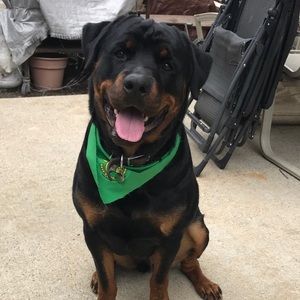 Meet your Posher, Anthony